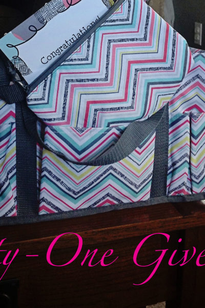 Bag and mini zipper pouch giveaway!