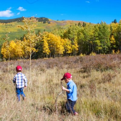 Fall Bucket List: Fall color trip