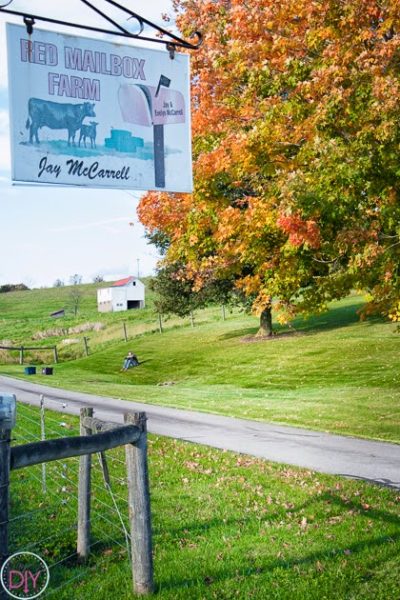 Fall break on the farm